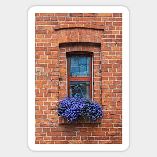 Bricks, window, flowers Sticker